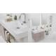 Lavabo 60X45 in Ceramica con Mobile a 2 ante ,sifone,piletta,troppopieno e fissaggi per lavabo BIANCO Colavene