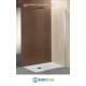 Box Doccia  WALK-IN 100 Cristallo TRASPARENTE 6mm-Telaio CROMATO-Staffa Regolabile PONSI Gold
