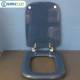 Copriwater Ideal Standard  CONCA BLU FONDALE  Cerniera Oro-Sedile-Asse Wc