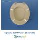 Copriwater Pozzi Ginori MODULO CHAMPAGNE   Cerniera Cromo-Sedile-Asse Wc 