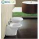 AMBIENTE-VASO E BIDET FILO MURO serie SCULTURE