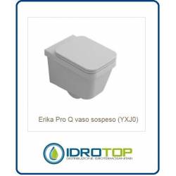 Vaso sospeso Erika pro Q