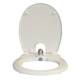 Toilete Bidet,Cold Water Bidet,Simple installation mod.320T GRY