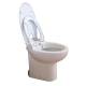 Ceramic Toilet NOT INCLUDED