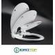 toilet seat-bidet